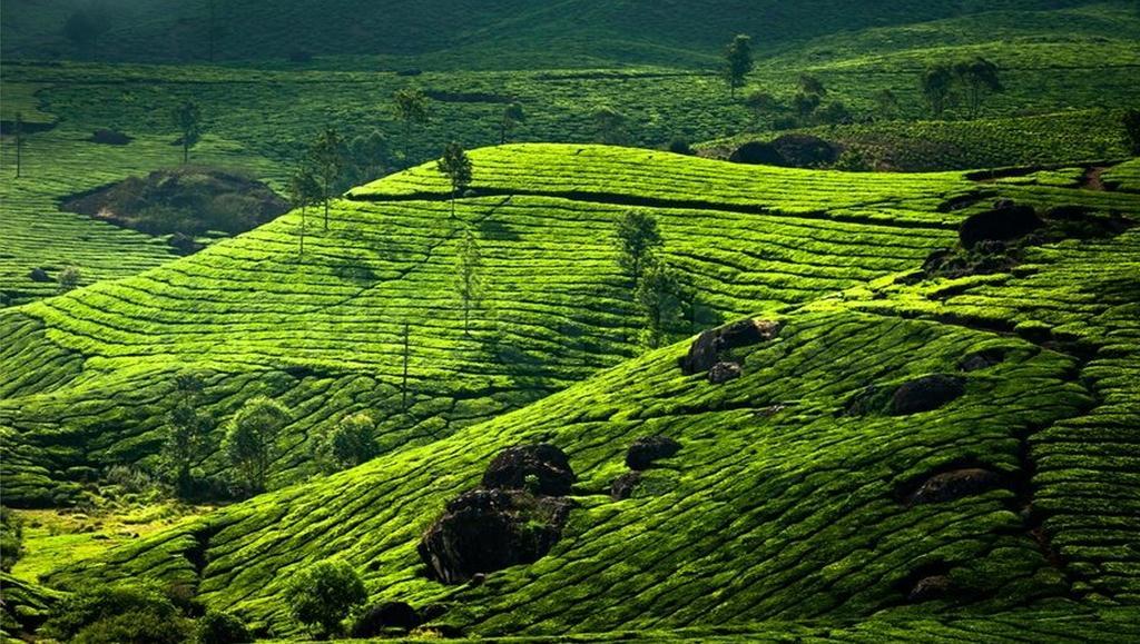 Clouds Valley Hotel Munnar Extérieur photo